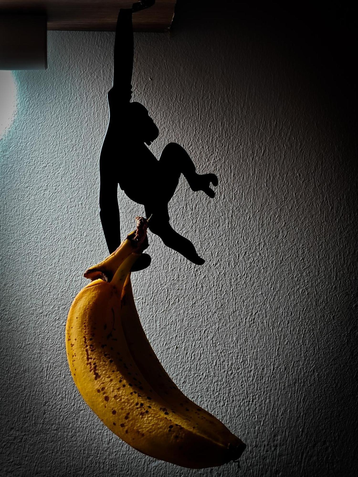 With Monkey Vibes *