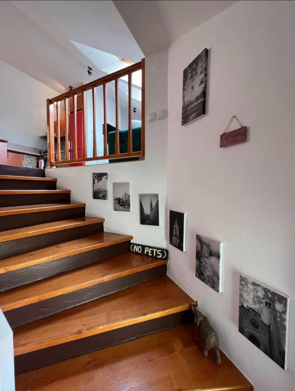 Apartment Pilot Otto Smik