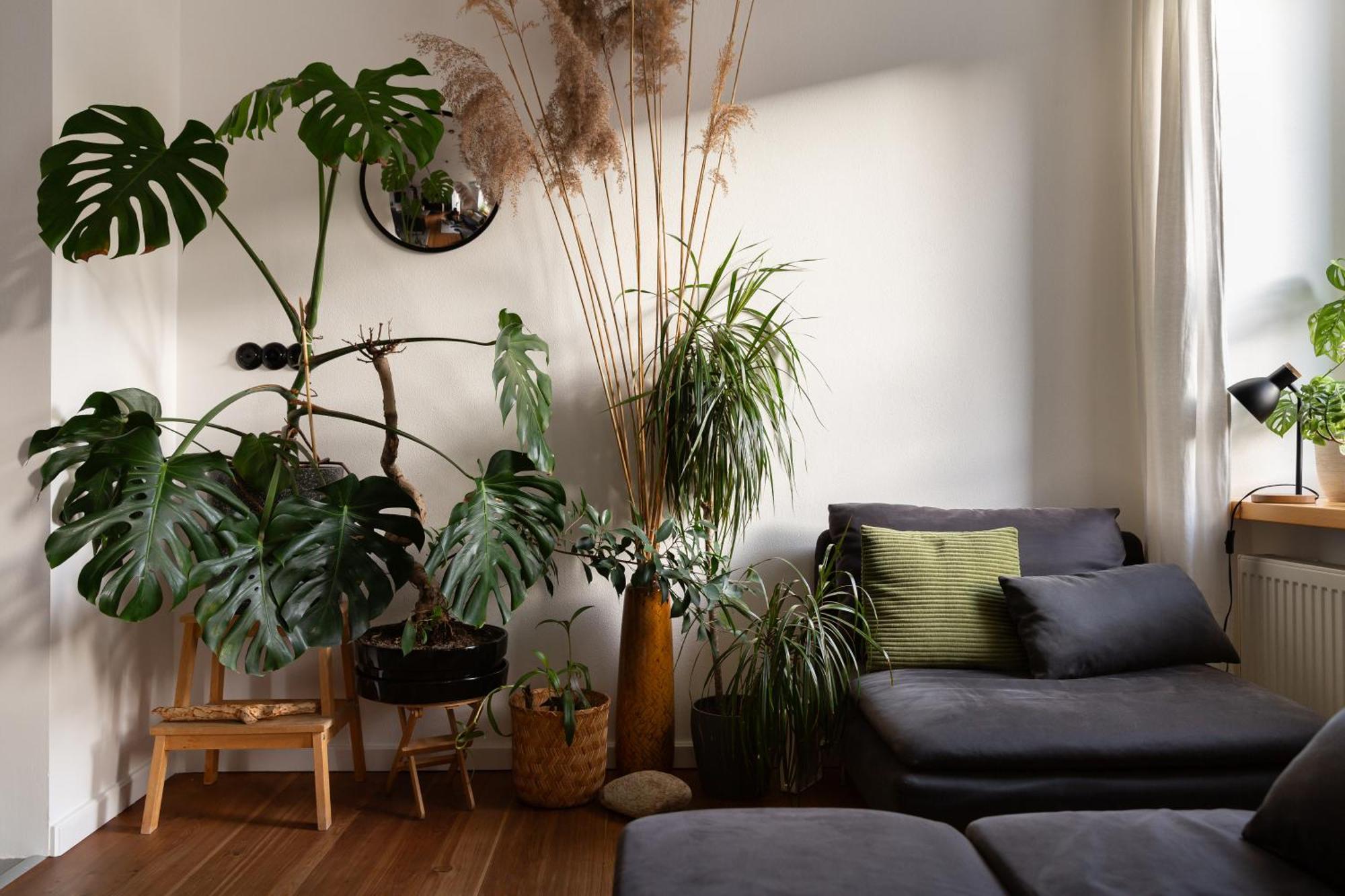 Apartment Evergreen - Old Town Spacious Stylish With Ac And One And A Half Bath, Baby & Kid- Friendly *