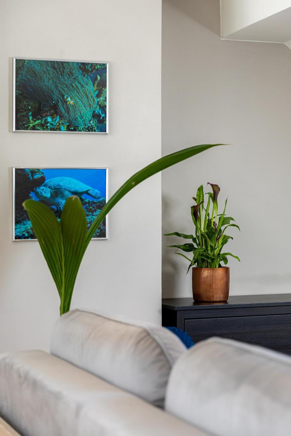 Wave Be Castle Apartment
