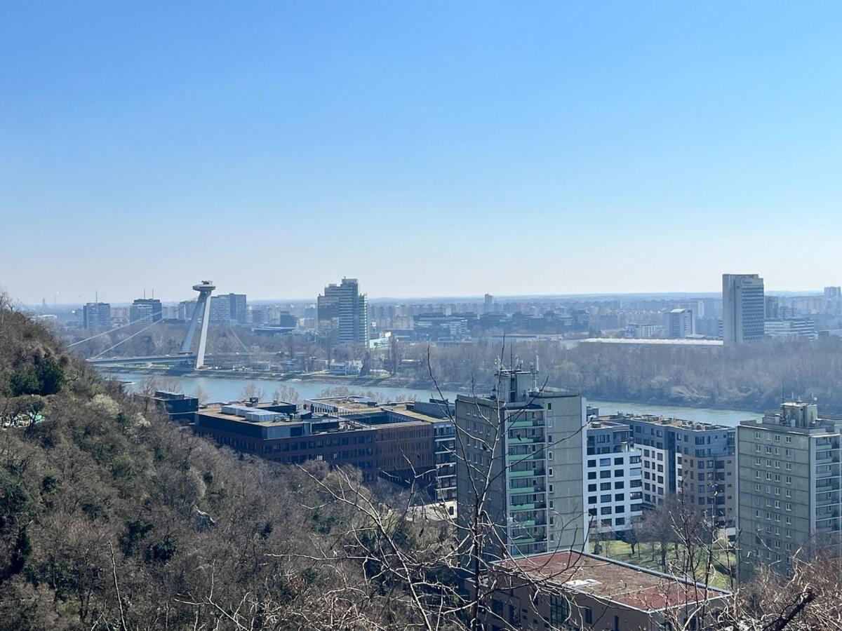 Amazing View Of The River Donau Apartment Bratislava