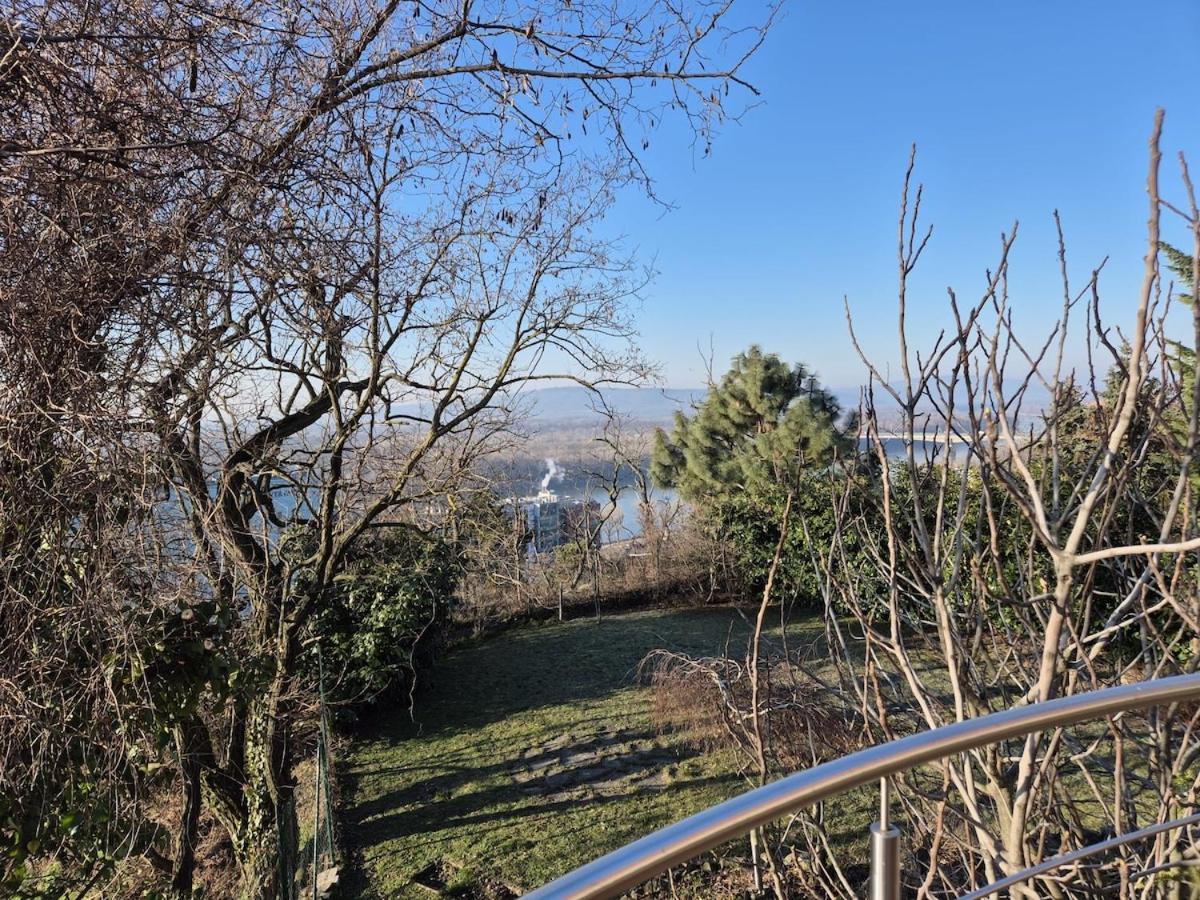 Apartment Amazing View Of The River Donau