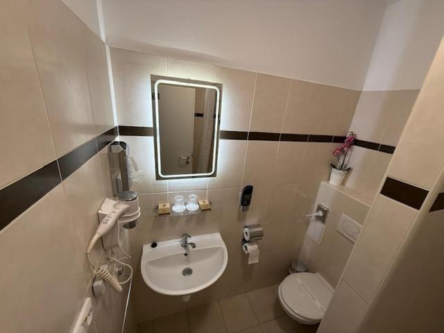 U Srncika Guest house *