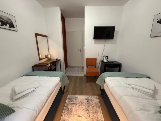 U Srncika Guest house *