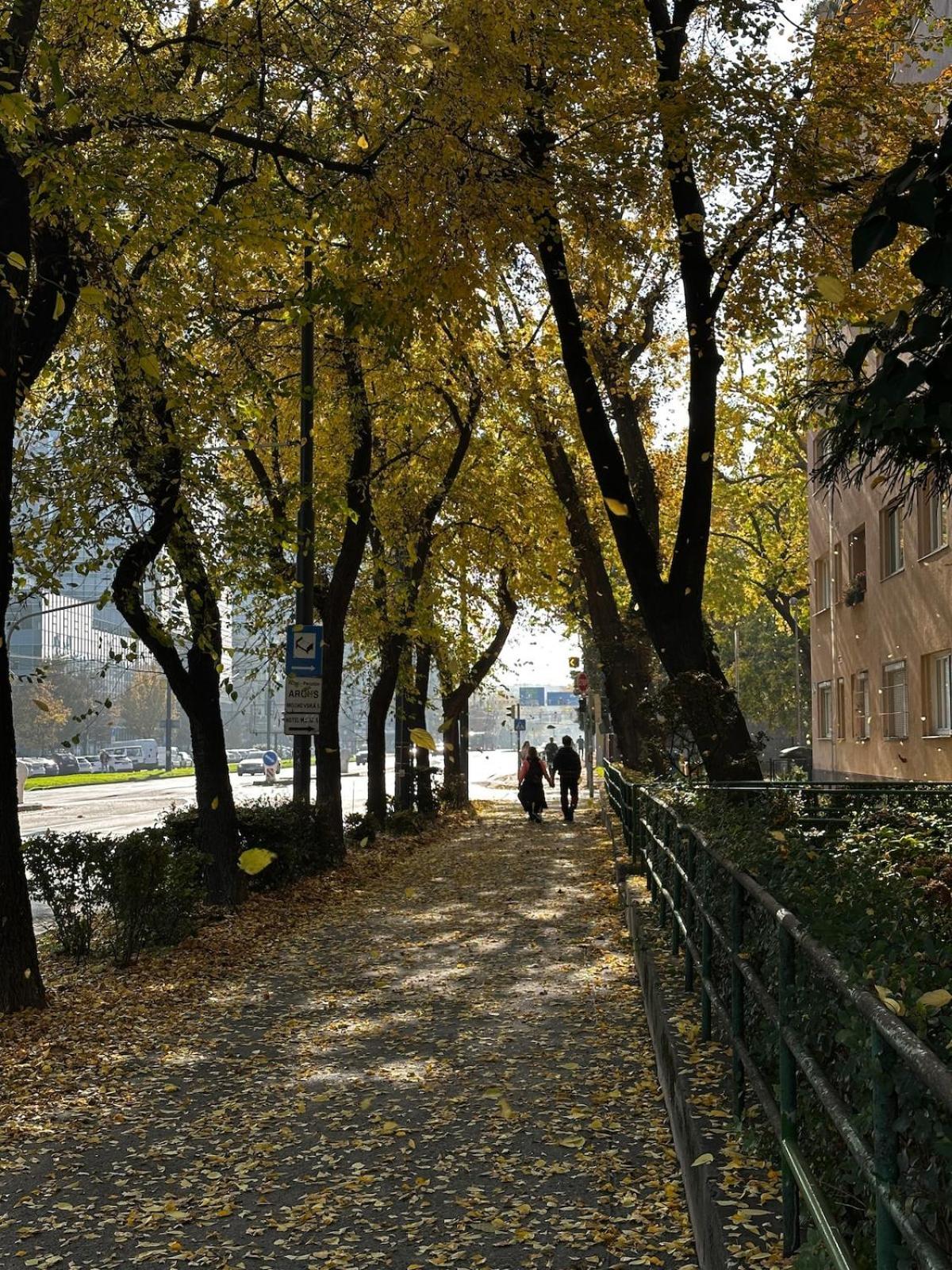 S Velkou Terasou A Balkonom V Centre Mesta! Apartment