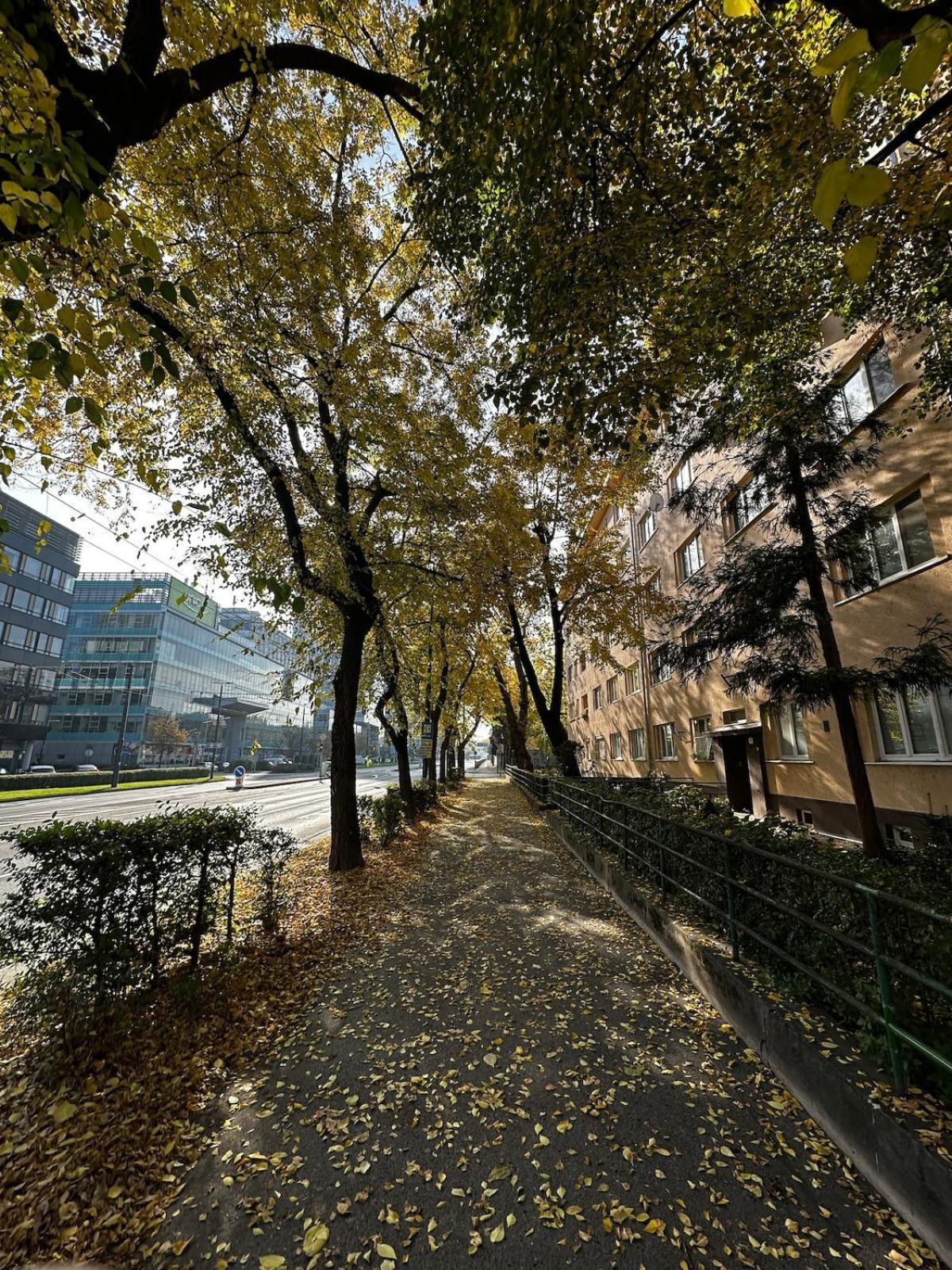 S Velkou Terasou A Balkonom V Centre Mesta! *