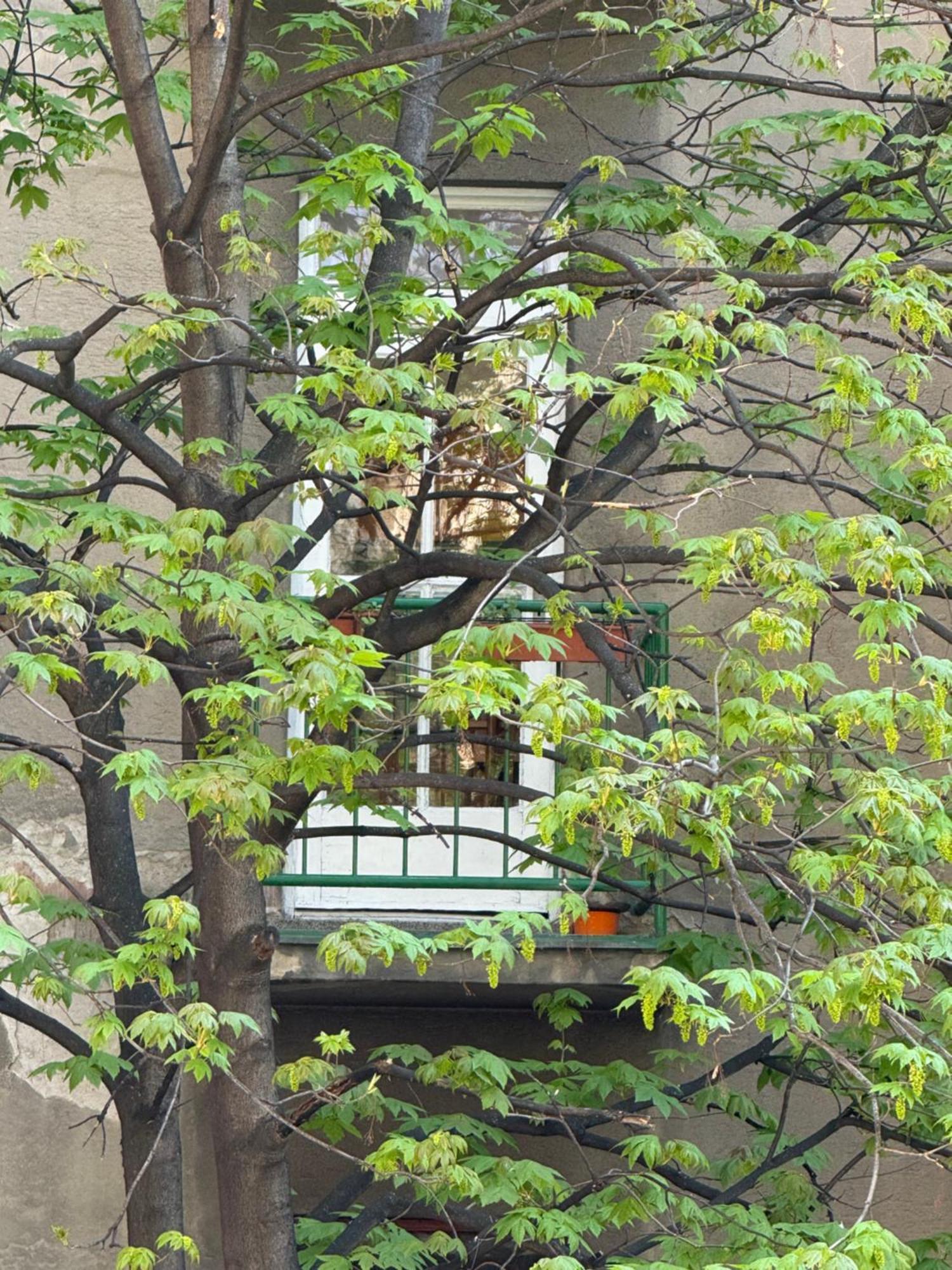 Justina Apartment *
