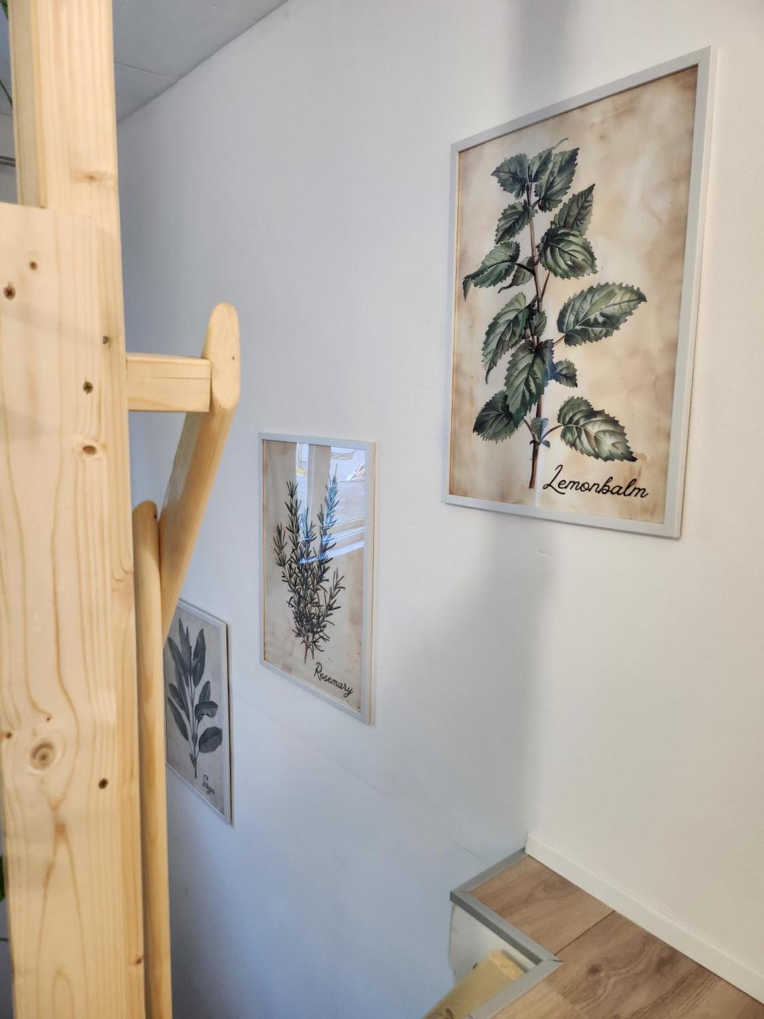 Kramare Apartment Bratislava