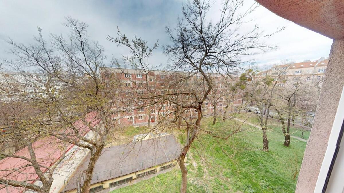 For Rent Near The Center Apartment *