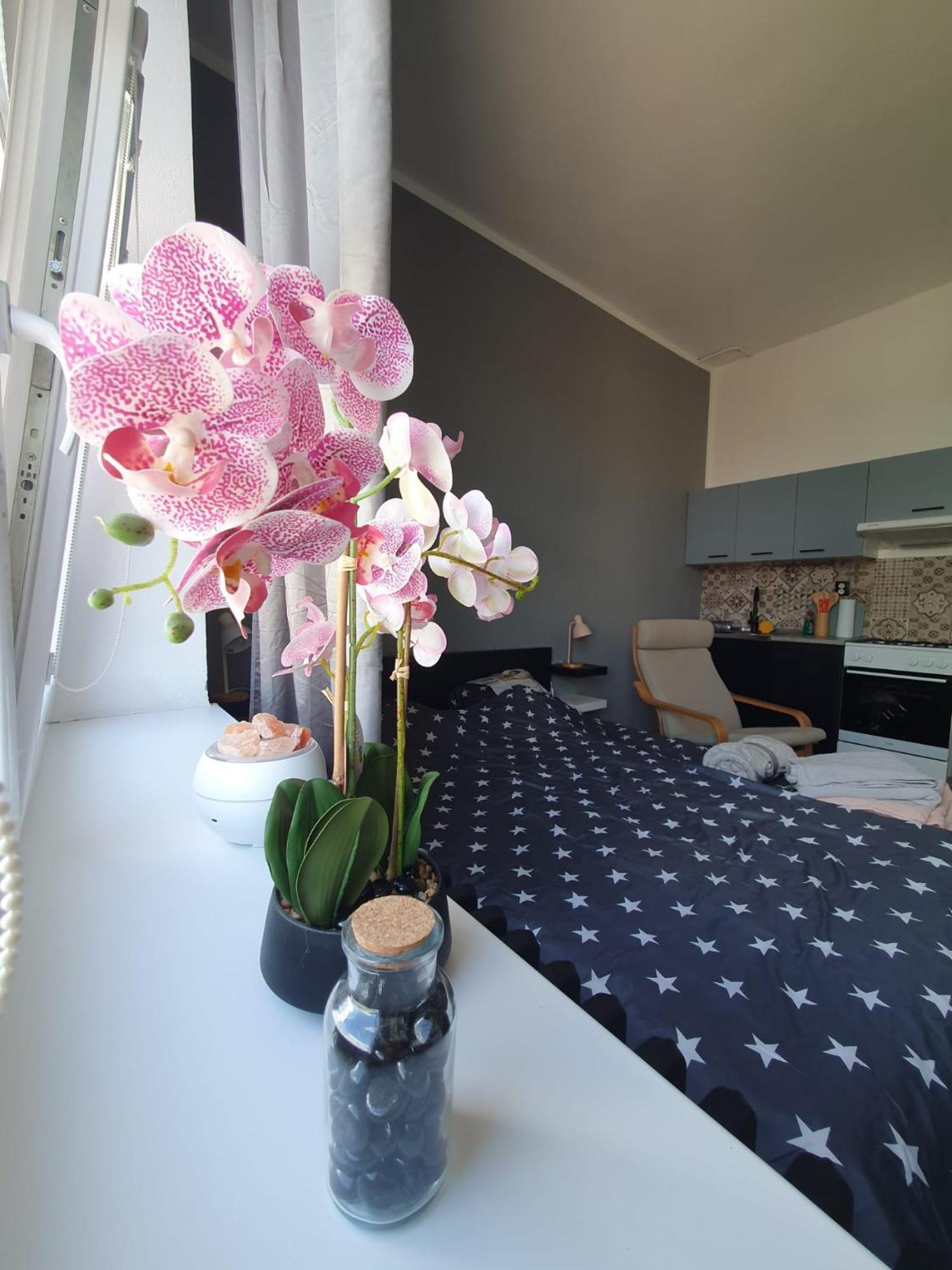 Apartment Metropolitan Next To Presidential Palace Bratislava