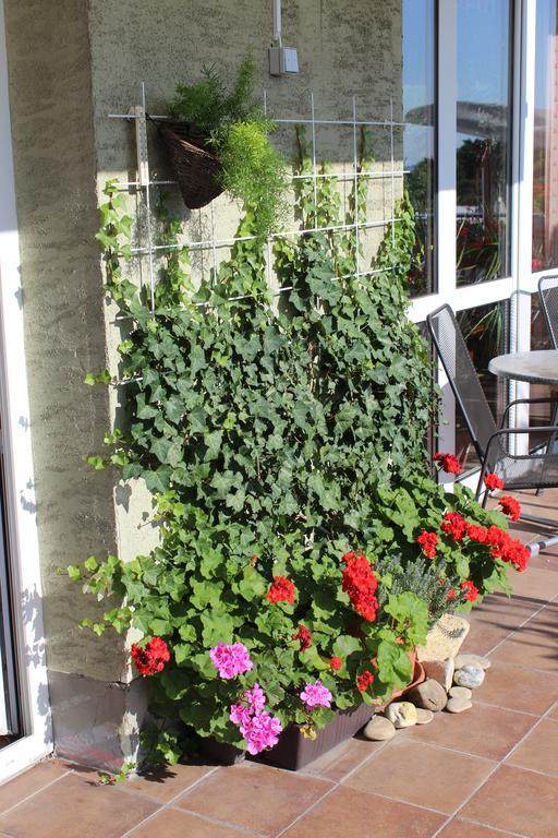 Zlata Noha Hotel
