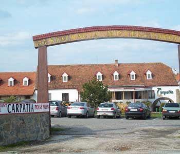 Hotel Carpatia 3*