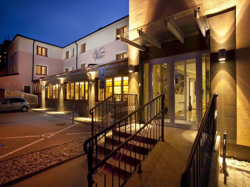 Hotel Viktor 3*