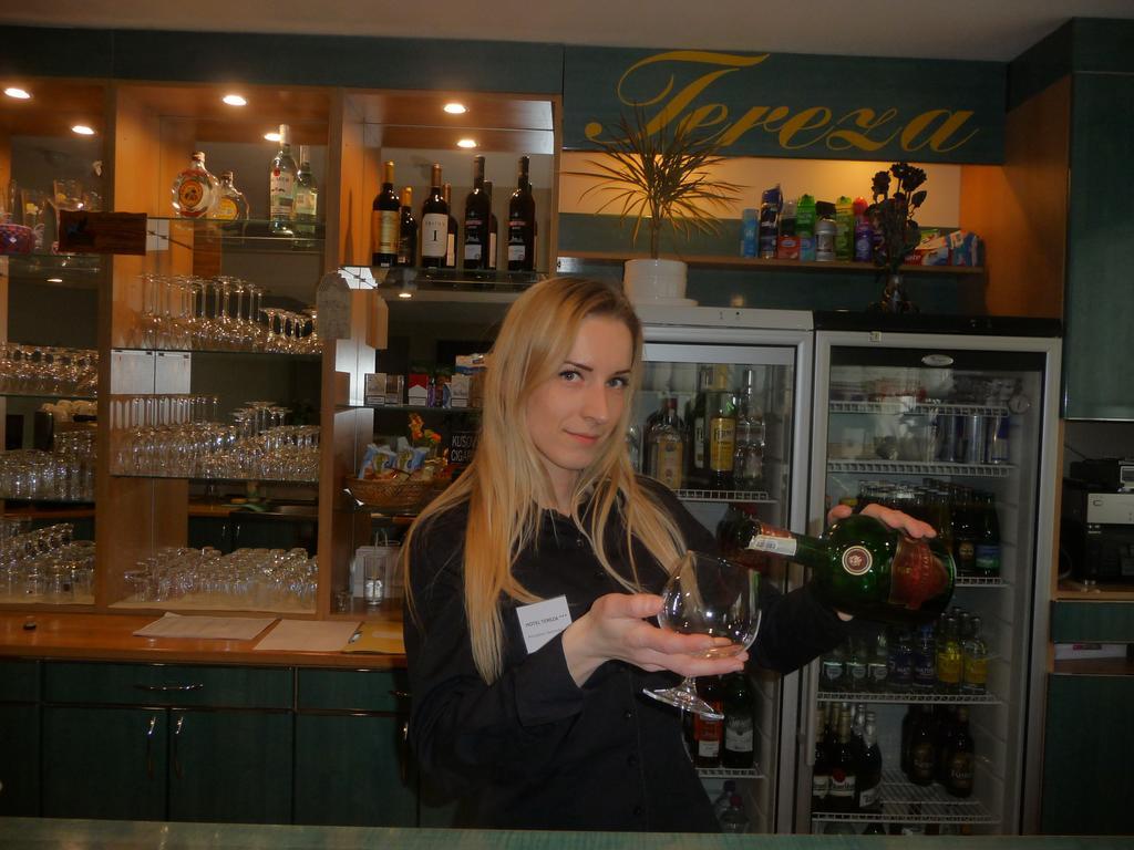 Apartment Tereza *