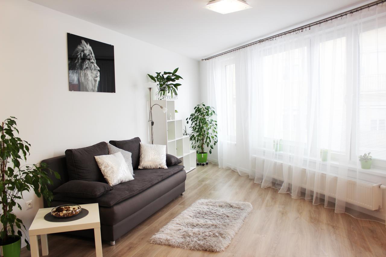 Apartment Leo Augustus