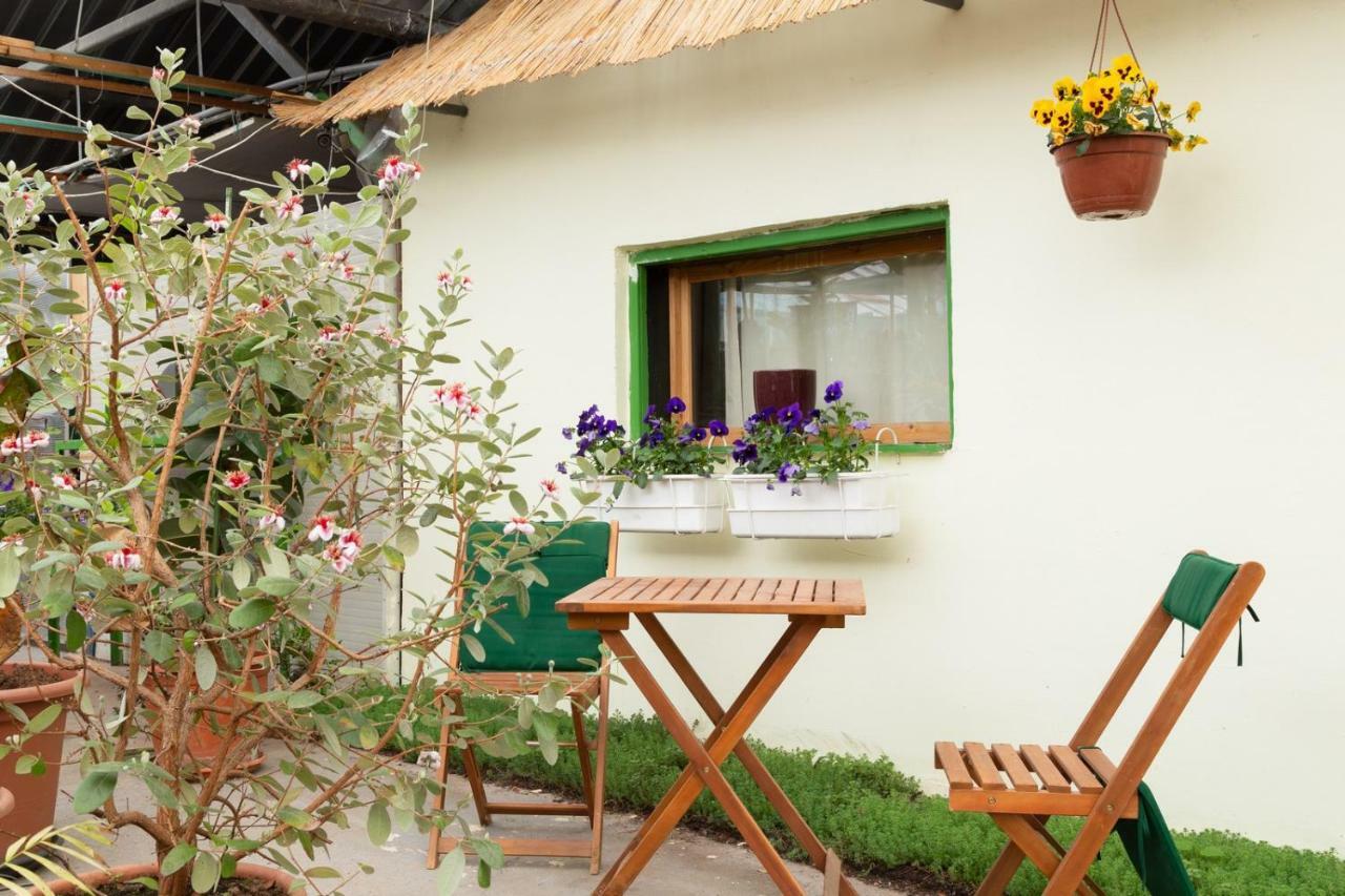 Rastlinky.sk Greenhouse Guestrooms Nhà khách Bratislava