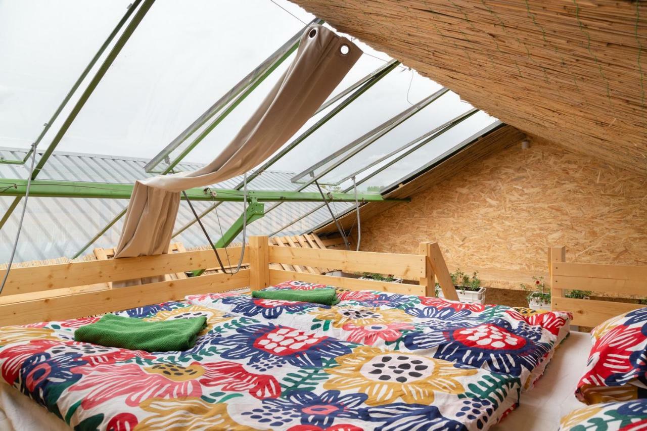 Rastlinky.sk Greenhouse Guestrooms