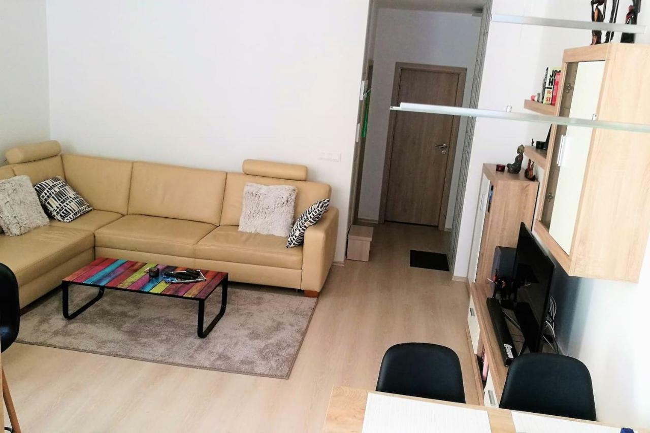 Newly Built Bachelor Pad In Outer City Center Apartment *