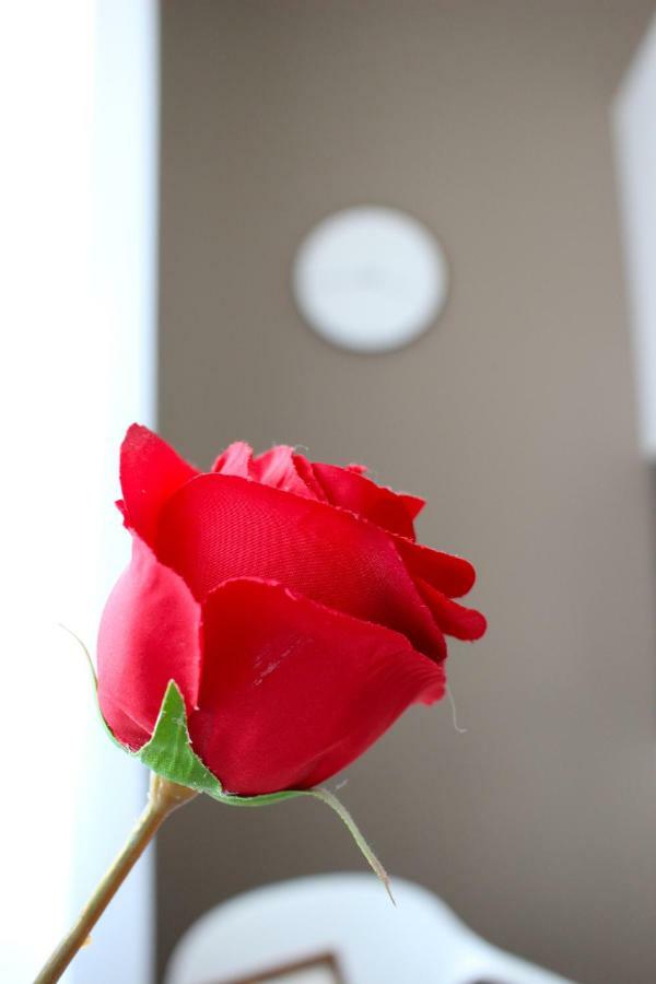Apartment Little Romance In *