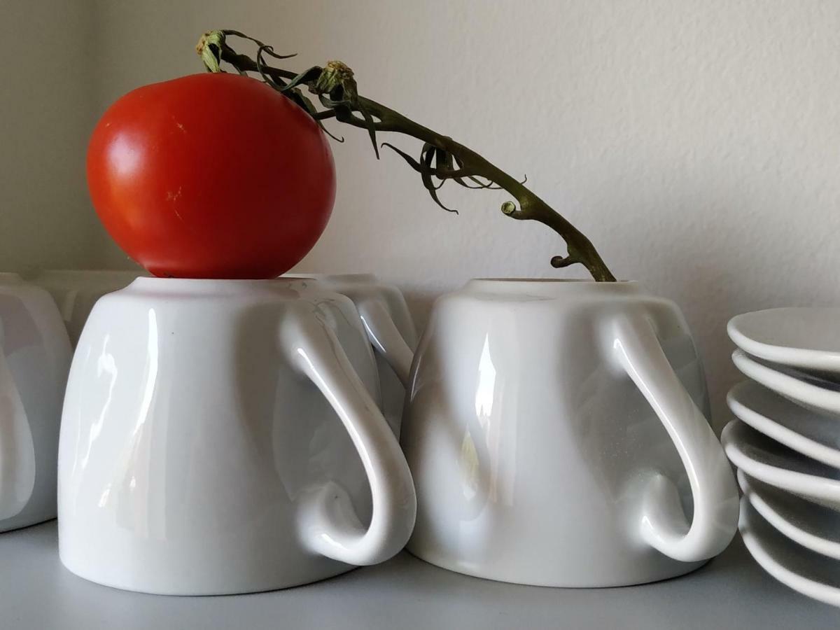 Apartmán Design *