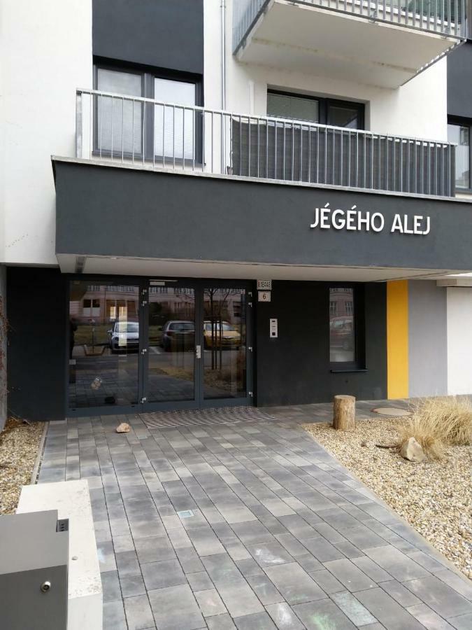 Apartment In Near Hockey Stadium And City Center *
