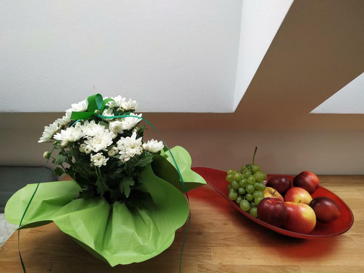 Design Căn hộ Bratislava