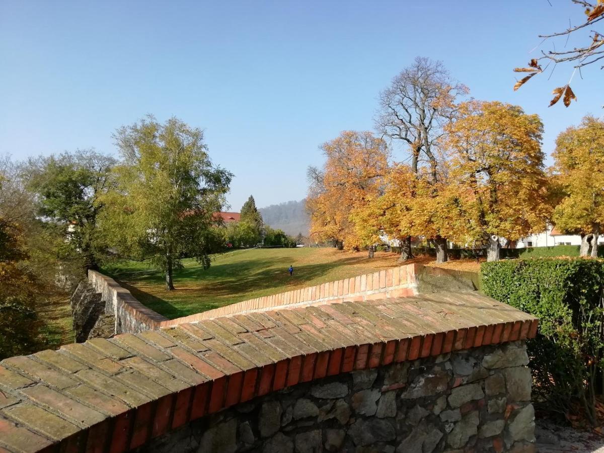 Apartment In Near Hockey Stadium And City Center