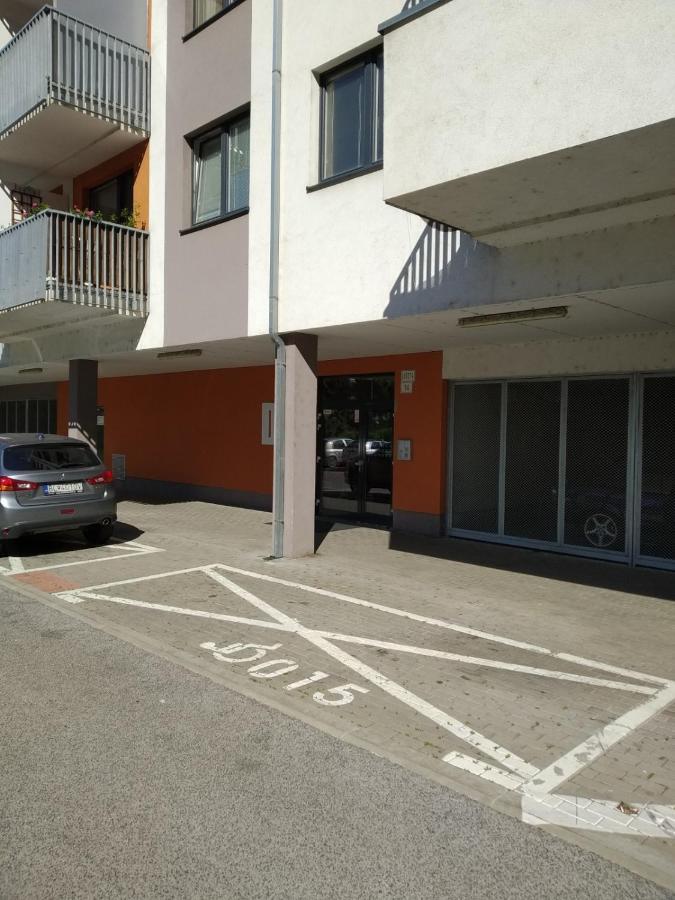 Brand New Apartment. Parking Spot Included! Appartamento *