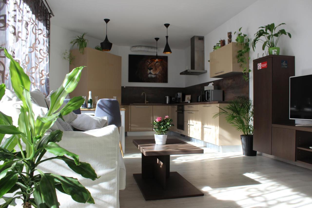 Apartment Leo Augustus