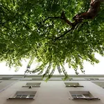 Evergreen - Design & Spacious Old Town Apartment With Ac, 1,5 Bath, Family-Friendly