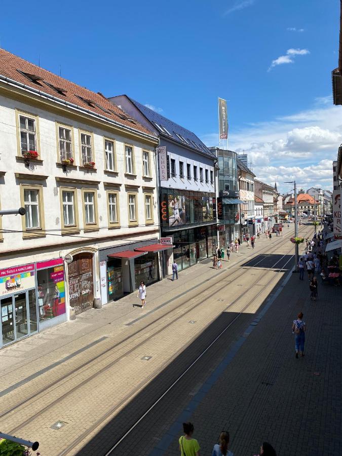 Schoendorf - Virtual Reception Hostel Bratislava