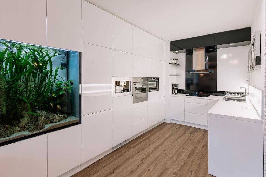 Family Aquarium Haven Căn hộ *