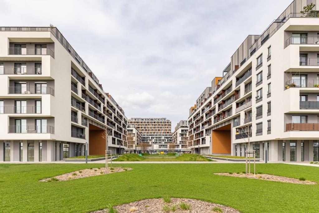 : Sporty Serenity Apartment