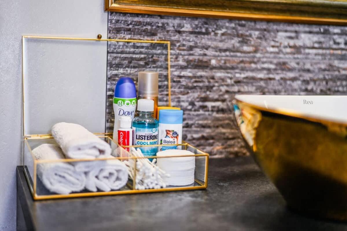 Luxury In The Center Apartment Bratislava
