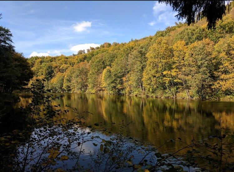 Lovely For 6guest Forest Park 10minutes From Center Apartment *