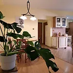 Home In The Heart Of The City