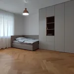 Bratislava Oldtown Apartment 130M2 ,60M2 Terrace And 2 Bathrooms
