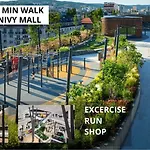 Downtown 3 Bdr Charm - Walk To All Attractions