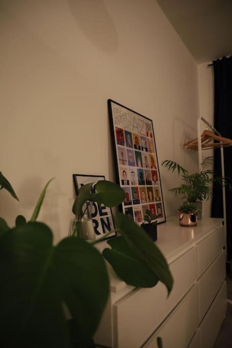 Sunny Cozy Apartment Bratislava
