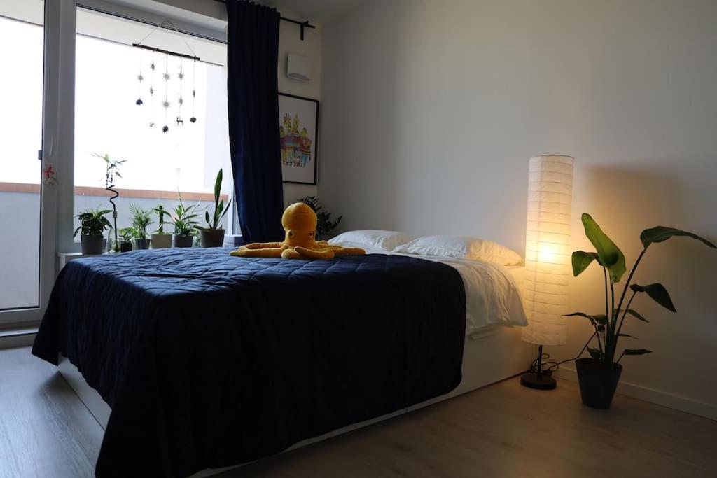 Sunny Cozy Bratislava