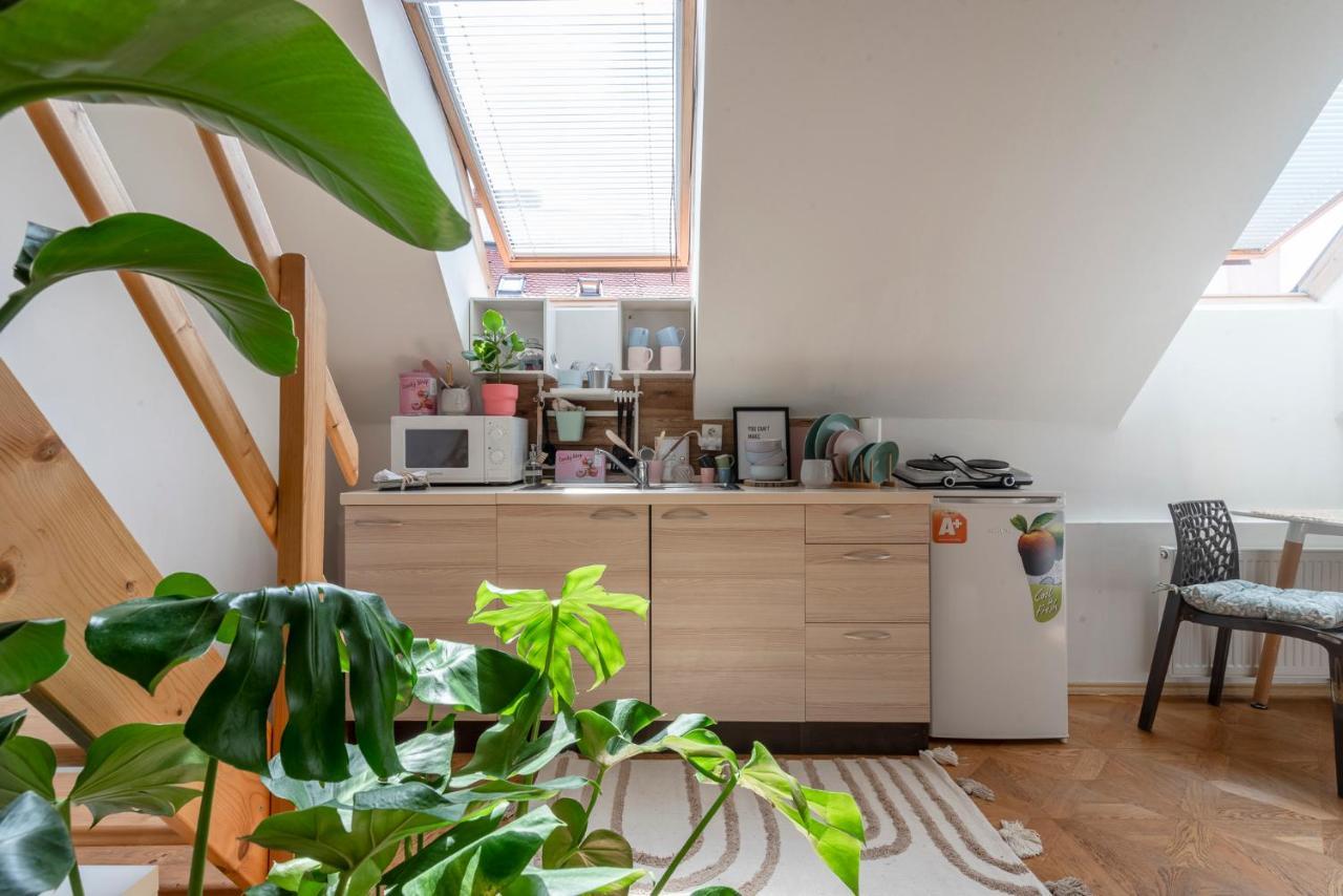 Beethoven Apartment *