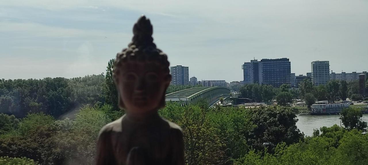 Danube Riverside With Quite Workplace Apartment