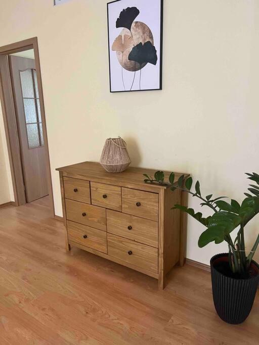 In The Heart Of The Apartment *