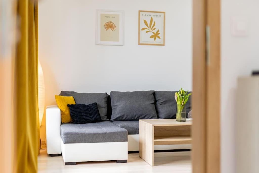 Cityscape Oasis: Active Heaven Bratislava