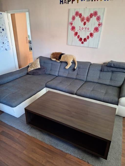 2-room With Balcony And Loggia Apartment