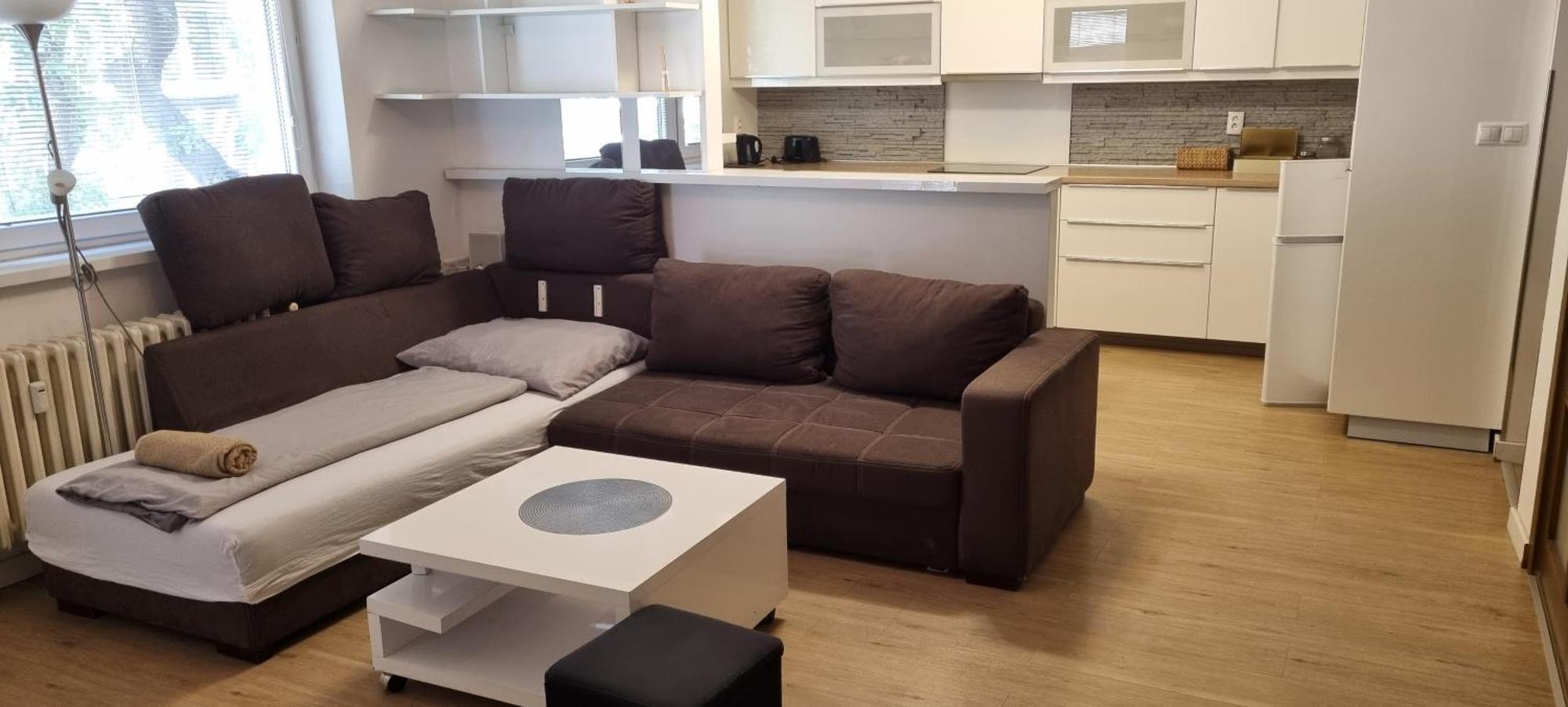 Family Apartman V Centre Mesta Apartamento