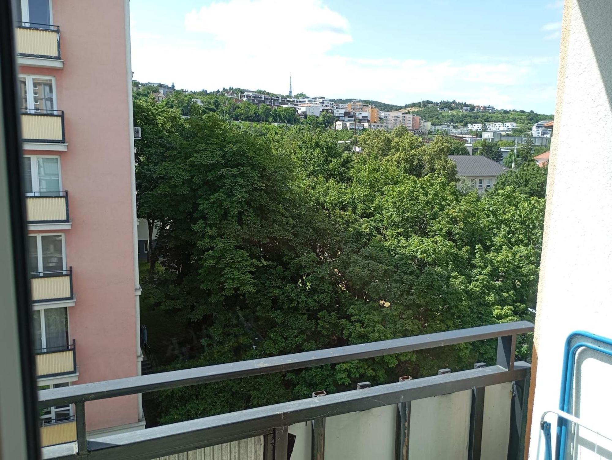 2-room With Balcony And Loggia Apartment
