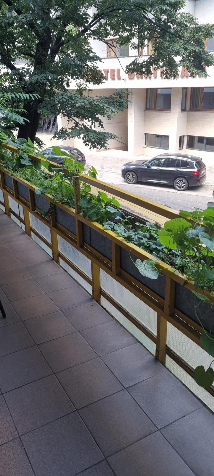 Family Apartman V Centre Mesta