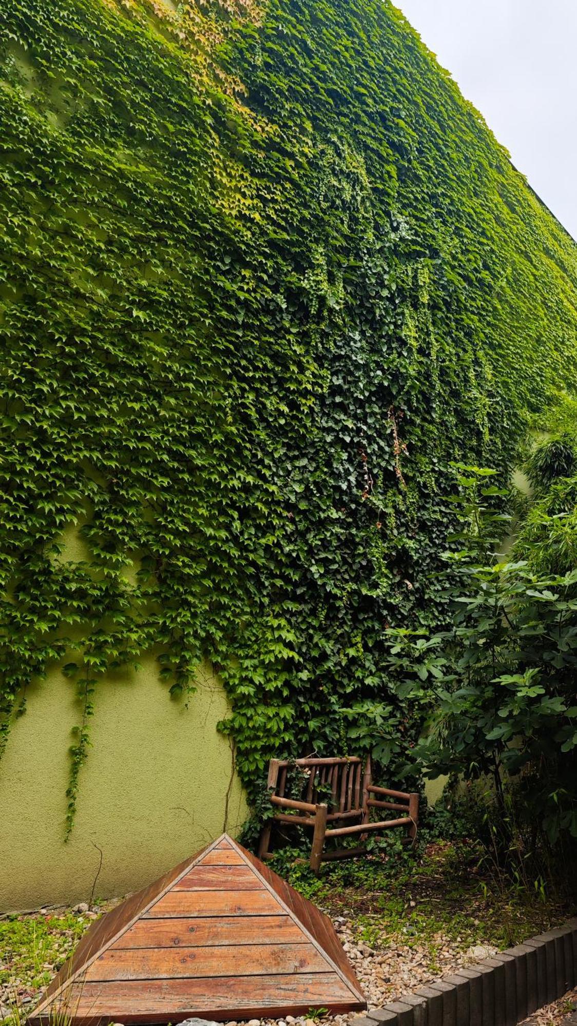 Apartment Vintage With Garden View