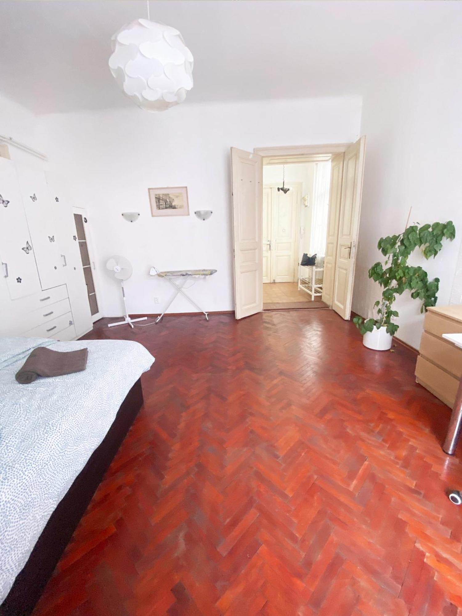 Big In City Center & Private Parking Apartment Bratislava
